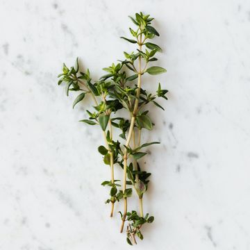 Branches de thym